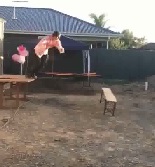 Watch Idiot Break his Back While Trying a Wrestling Jump