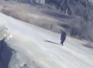 Walking Taliban Member Destroyed by Hellfire Missile