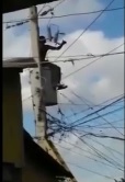Mentally ill Man Uniquely Commits Suicide by Electrocution