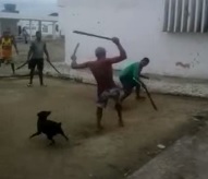 Crazy Machete Fight Filmed Inside a Prison in Brazil