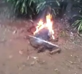 Thief burning alive on a dirt road in the middle of the jungle