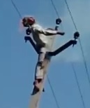 Dude Fried on Powerlines