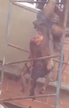 HOLY SHIT: Guy Electrocuted to Death Hanging From Scaffolding Ripped Apart