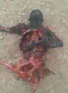 Burned Bodies of DAESH Members Eaten by Animals 