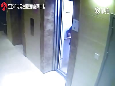 SAD: Dog Gets Strangled to Death by Elevator