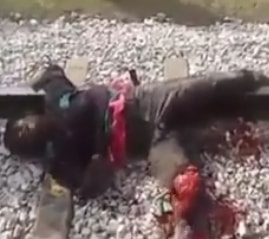 Teenager Boy in Agony Mutilated by Train