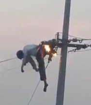 Dude Dies Frying on Electrical Wires