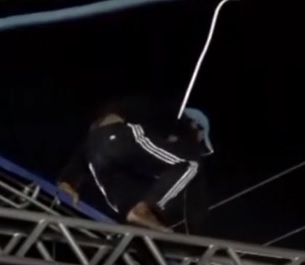 Concert Goer is Electrocuted to Death During after he Climbs Structure