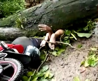 Motorcyclist Tangled and Crushed by Falling Tree
