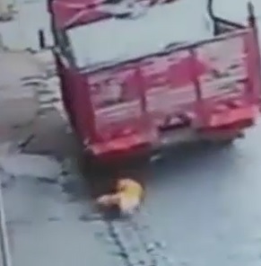 Elderly Man Crushed by Reversing Truck in Turkey