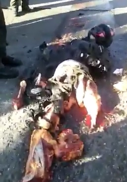 Biker Skid and Ripped Himself to Shreds from Accident
