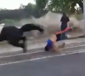 Guy Slams Face First into a Concrete Pole and Dies During Horse Race