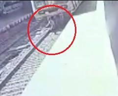 Suicide by Train Looks Like Dude had Second Thoughts.. Tries Running