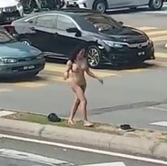 Whacky Naked Tranny vs. Traffic