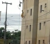 Worker Electrocuted  and Falls Head First to Ground.