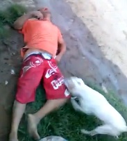 Bad Day for Rapist... Even the Dog Gets In on the Beating