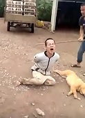 Dog Thief Tortured