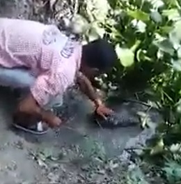 Moron Tries to Pet a Crocodile Pays the Price