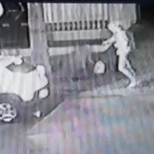 Dog Runs Away as Owners Assassinated by Hitman