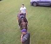 DAMN! Don't Walk Behind a Horse... You Can Die.
