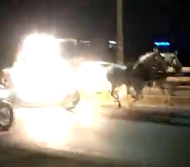 Don't Try to Stop Runaway Horse with a Carriage on Fire