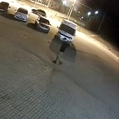 HOLY SHIT: A Bear Attacks Man Walking Through Parking Lot
