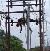 Dude Flapping Like a Fish Out of Water During Electrocution 
