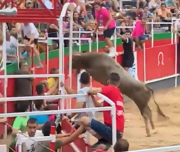 Bull Leaps Into Crowd At Spanish Event and Causes Injuries to About Twenty People 