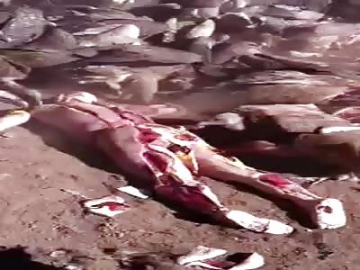 Tibetan funeral, vultures eat body