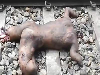 Ripped To Pieces Suicidal Man On The Train Lines