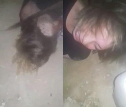 Girl gets brutally murdered hacked up by a Machete and burned
