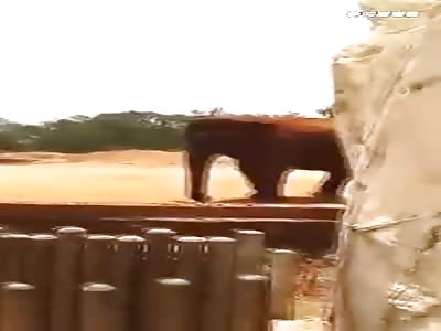 GIRL DIES AFTER ELEPHANT THROWS STONE