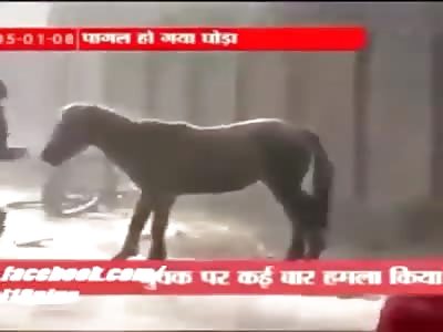 WTF!!! MAN BEING ATTACKED BY A HORSE