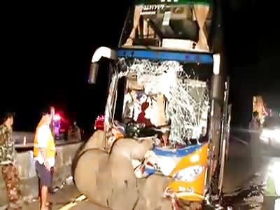AFTERMATH OF WILD MALE ELEPHANT RUN OVER BY BUS