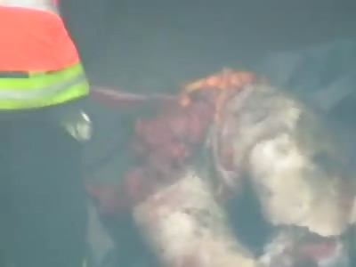 FULL VIDEO:  EXPOSED GUTS AND MUTILATED BODIES AFTER ACCIDENT IN RUSSIA