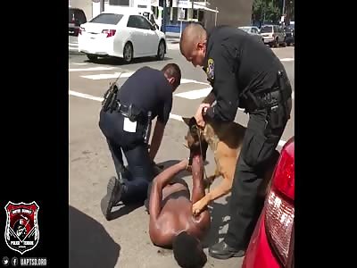 COP LOSES CONTROL OF K-9 AS IT VICIOUSLY ATTACKS MAN IN HANDCUFFS