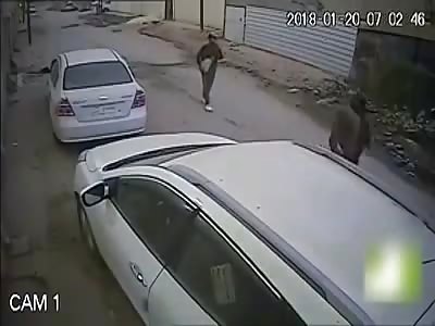 MAN BEING MURDERED WITH A HUGE STONE [FULL VIDEO]