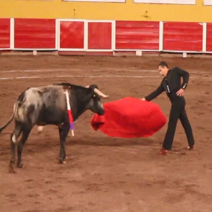 Bullfighter Loses The Game