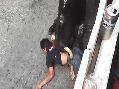 BRUTAL: Man Killed By Bull Gored in The Neck!