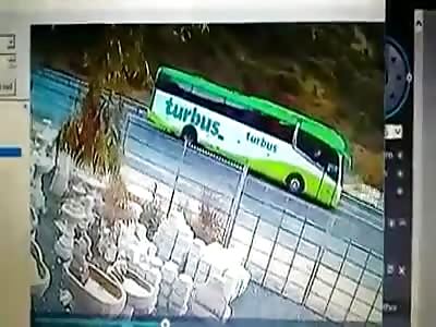 Bus Accident 