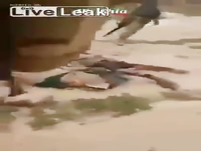  Shia PMU Kills 68 ISIS Elements After Fallujah Centre Liberation