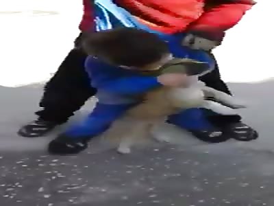 A dog bitten by a boy