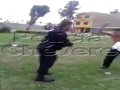 Police beaten by drug addict