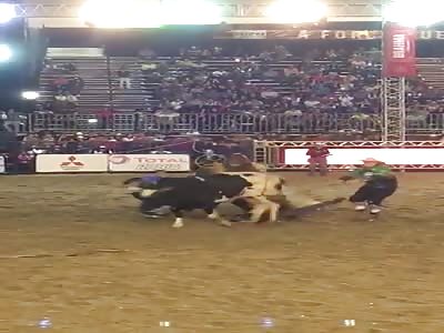 Bullrider Being Stomped Many Times 