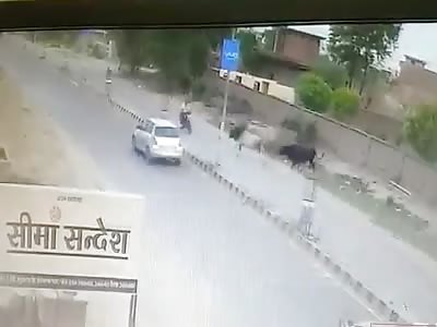 (Die india)Accident hit by bull 
