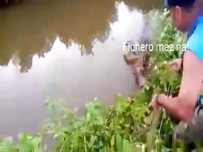 crocodile eats corpse of man in river