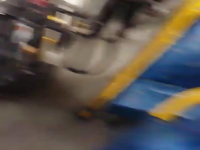 DANCING SCOOBY DO PAPA