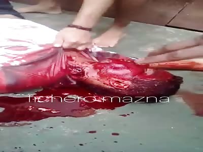 MAN IS DECAPITATED AND OPEN OF HIS STOMACH WITH A KNIFE