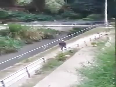 Drunk Man Falls From Top of the Bridge and Died on the Spot (w/Aftermath)
