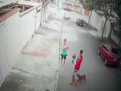 SHOCKING PITBULL ATTACK IN BRAZIL (CLEAN VIDEO)